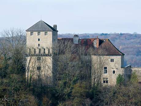 Château de Valleroy