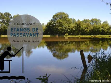 Etangs de Passavant