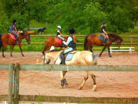 Poney Club le Picotin