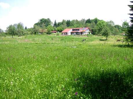 Gîte rural