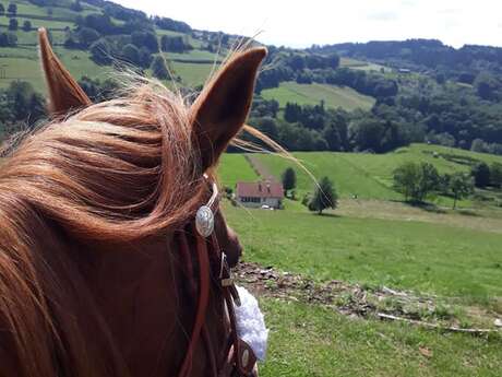 Trace equestre des ballons comtois