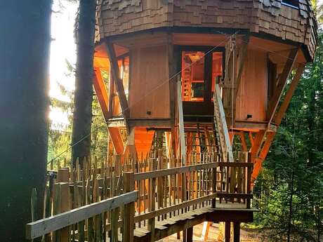 La cabane du bolet