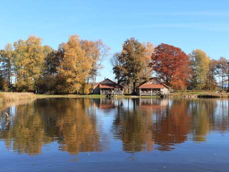 Chalet Le Nénuphar - Domaine de la Patte d'Oie