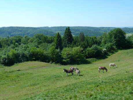 Le Pré d'Oro