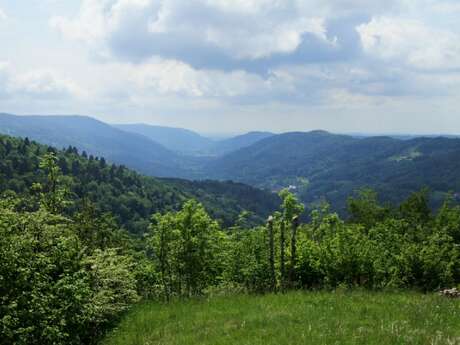 Le Sentier des écoliers