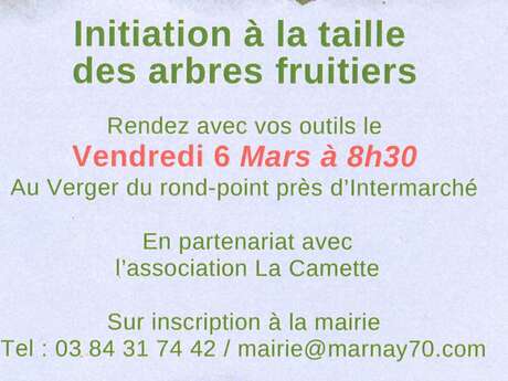 Initiation à la taille des arbres fruitiers