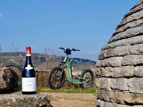 Balade dans le vignoble en trottinette éléctrique