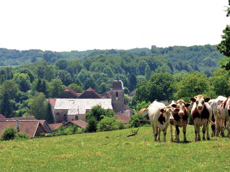 Le Mont du Chanois