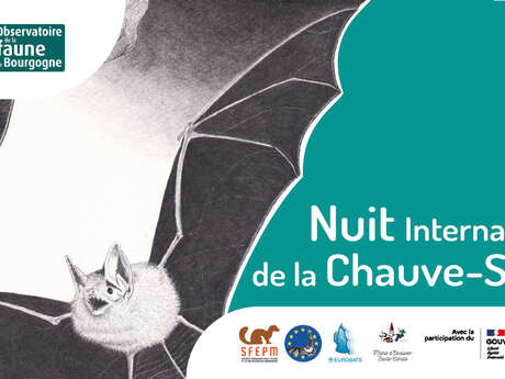 Nuit internationale de la Chauve-souris