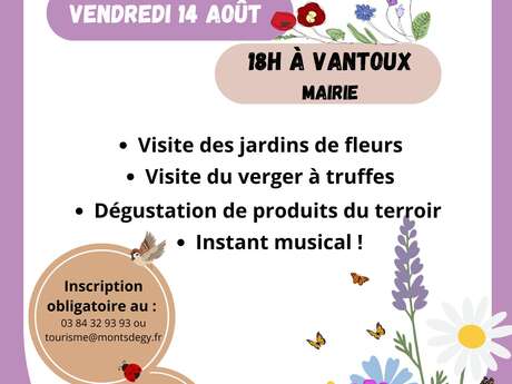 Rendez-vous du terroir "Aux fleurs Schick"