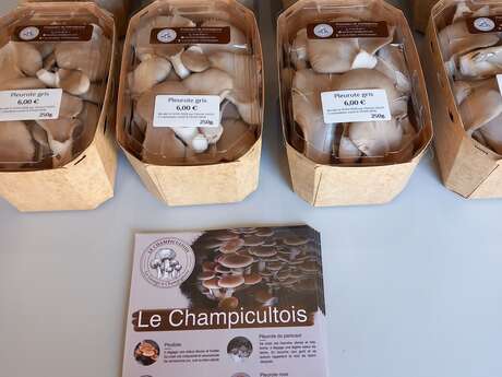 Le Champicultois