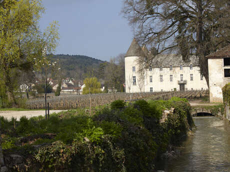 Office de tourisme Beaune & Pays Beaunois - BIT de Savigny-lès-Beaune