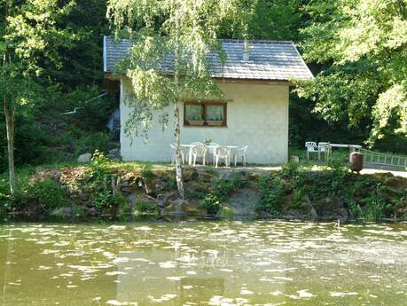 Le nid du moulin des oiseaux