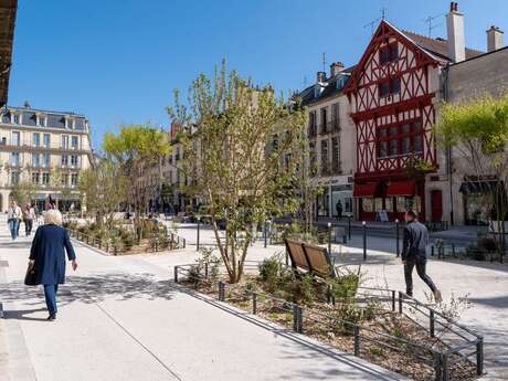 Dijon Underground : De vignes en caves [COMPLET]