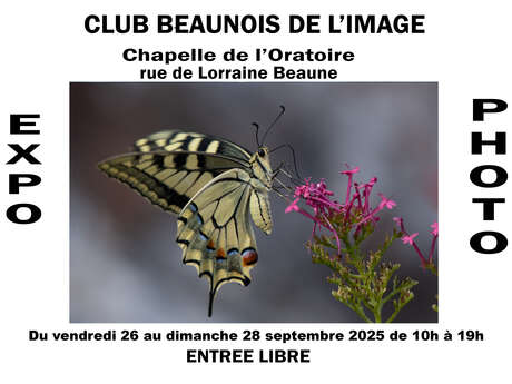 EXPOSITION  PHOTOS