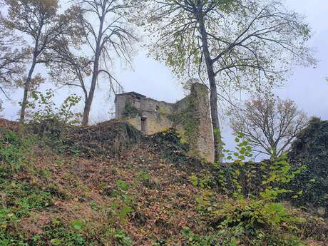 Château de Vautheau