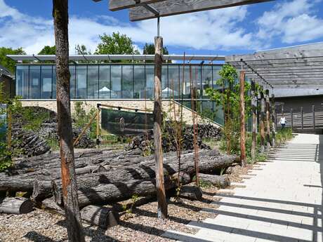 Les Rendez-vous de la Cité