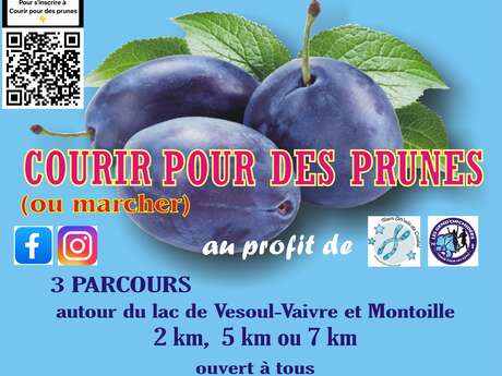 Courir pour des prunes