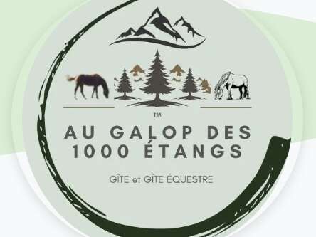 Au galop des 1000 étangs