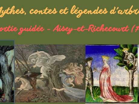 Sortie guidée "Mythes, contes et légendes d'arbres"
