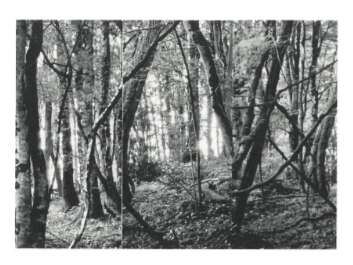 Vernissage de l'exposition de Martin Maris