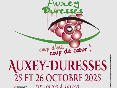 Coup d’œil, Coup de Cœur à Auxey-Duresses