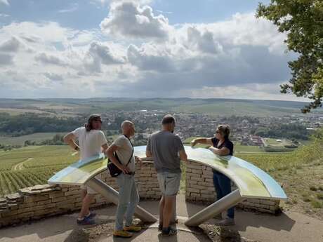 Vititours - Excursions dans le vignoble