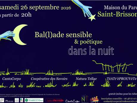 Bal(l)ade sensible & poétique dans la nuit