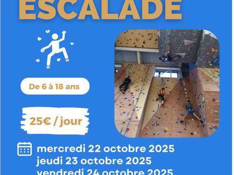 Stage d'escalade
