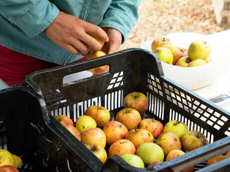 Marché des Producteurs