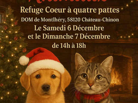 Noël des animaux