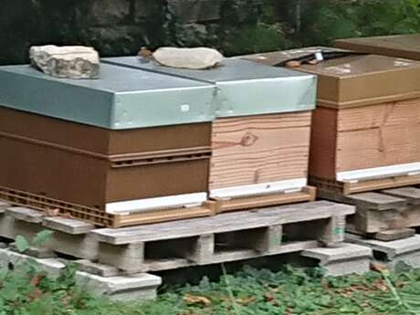 Les Abeilles du Lolo