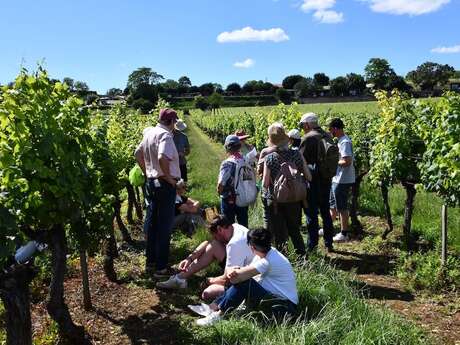 Festival de Bach à Bacchus - Visite théâtralisée  "La Clé des sols - A la recherche du pinot perdu"