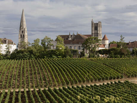 Auxerre, Terre de Vignes