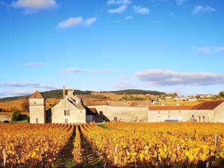 Portes ouvertes au Domaine Clos du Moulin aux Moines