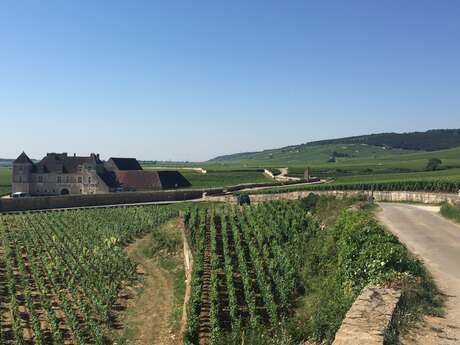 Oenotourisme sur La Route des Grands Crus