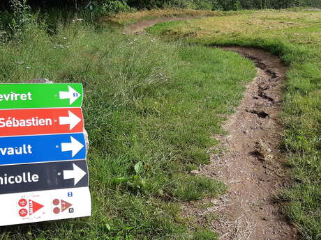 Site de piste de descente VTT