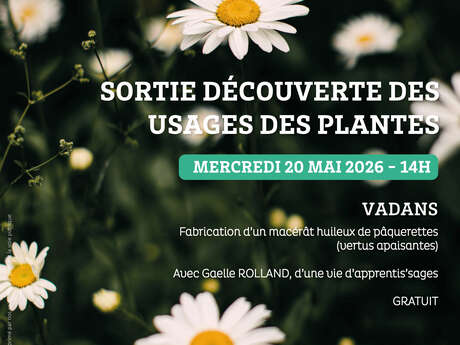 Fête de la nature - Sortie découverte des usages des plantes