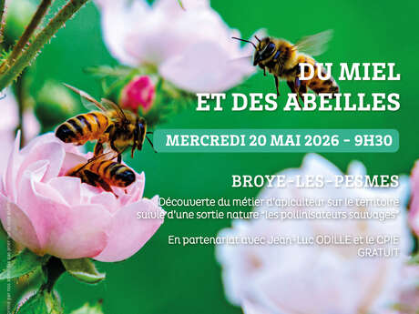 Fête de la nature - Du miel et des abeilles