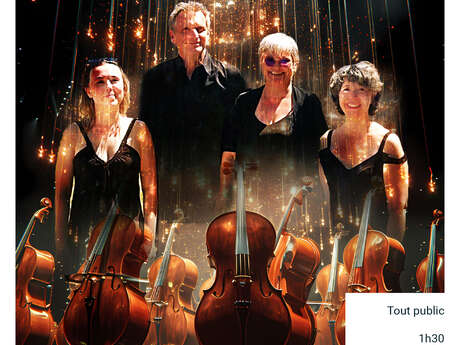 Quatuor Sedici Corde