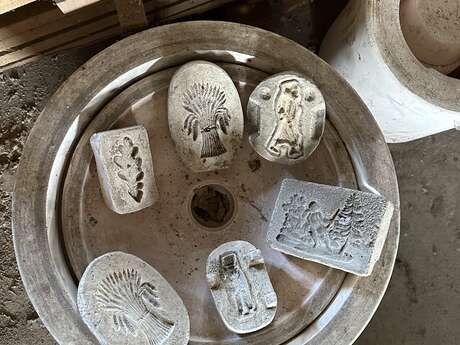 À l'écomusée pour m'amuser ! Atelier avec l'artiste Harmonie Begon