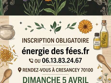 Atelier plantes médicinales