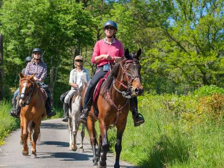 Parc naturel régional du Morvan Parc naturel régional du Morvan