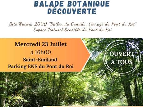 Balade botanique découverte