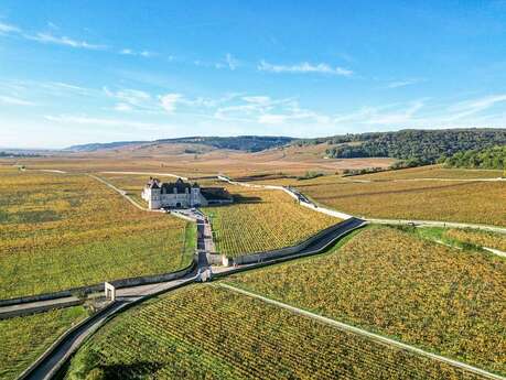 Découverte de la Côte de Nuits