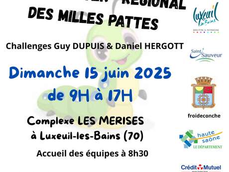 Tournoi des 1000 pattes : tournoi de basket