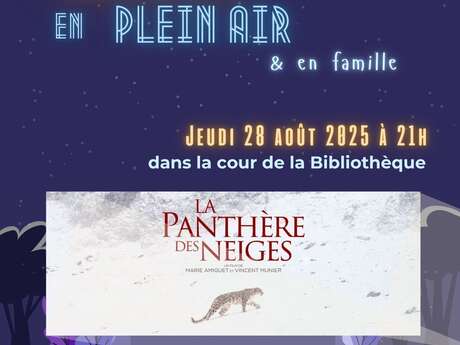 Cinéma en plein air