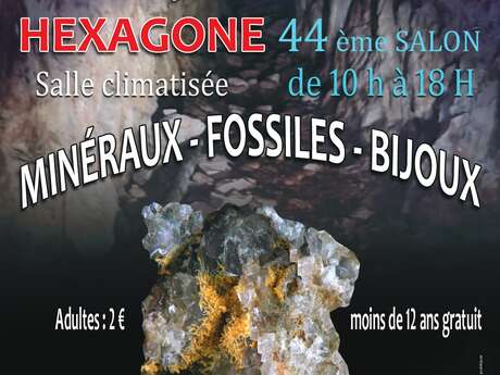 Salon Fossiles - Minéraux - Bijoux
