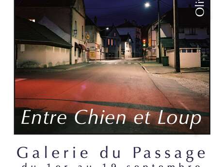 Exposition "Entre chien et loup"