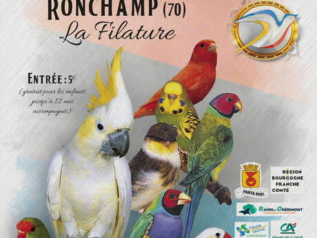 Championnat d'oiseaux d'élevage à La Filature de Ronchamp
